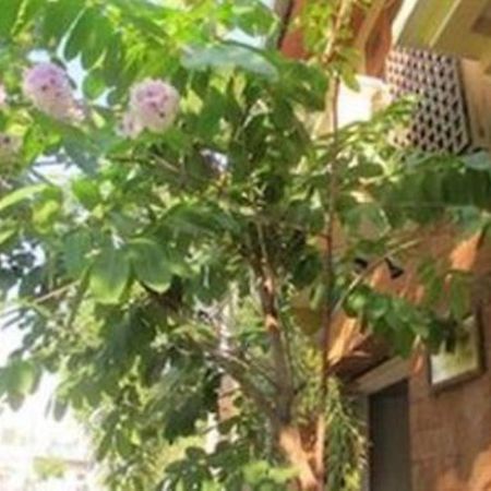 Kambuja Inn Phnom Penh Exterior foto